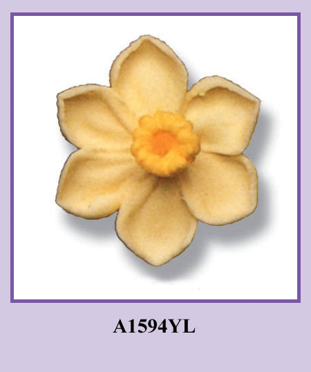 YL, Med/Lg Daffodil