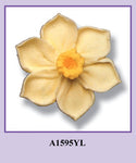 YL, Lg Daffodil