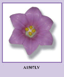 MLG.  Easter Lily - Lavender