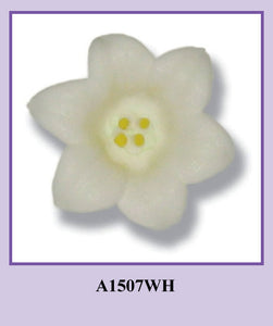 MLG.  Easter Lily - White