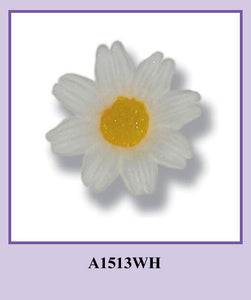 WH, Med Daisies