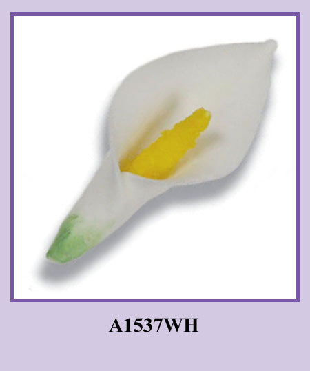 Xlg. Calla Lily