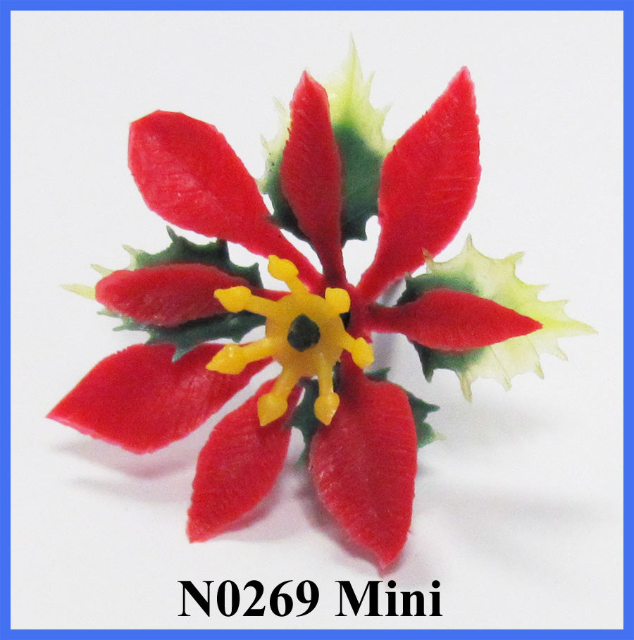 Mini Poinsettia